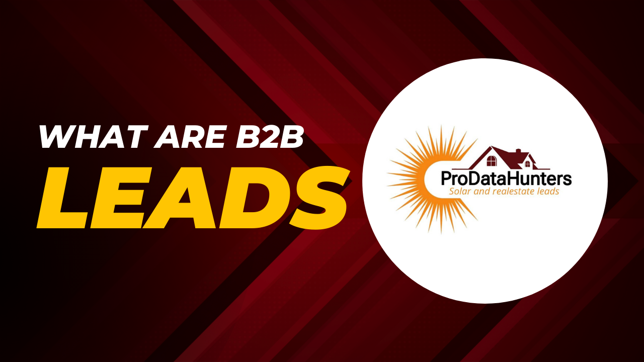 WHAT ARE B2B LEADS?