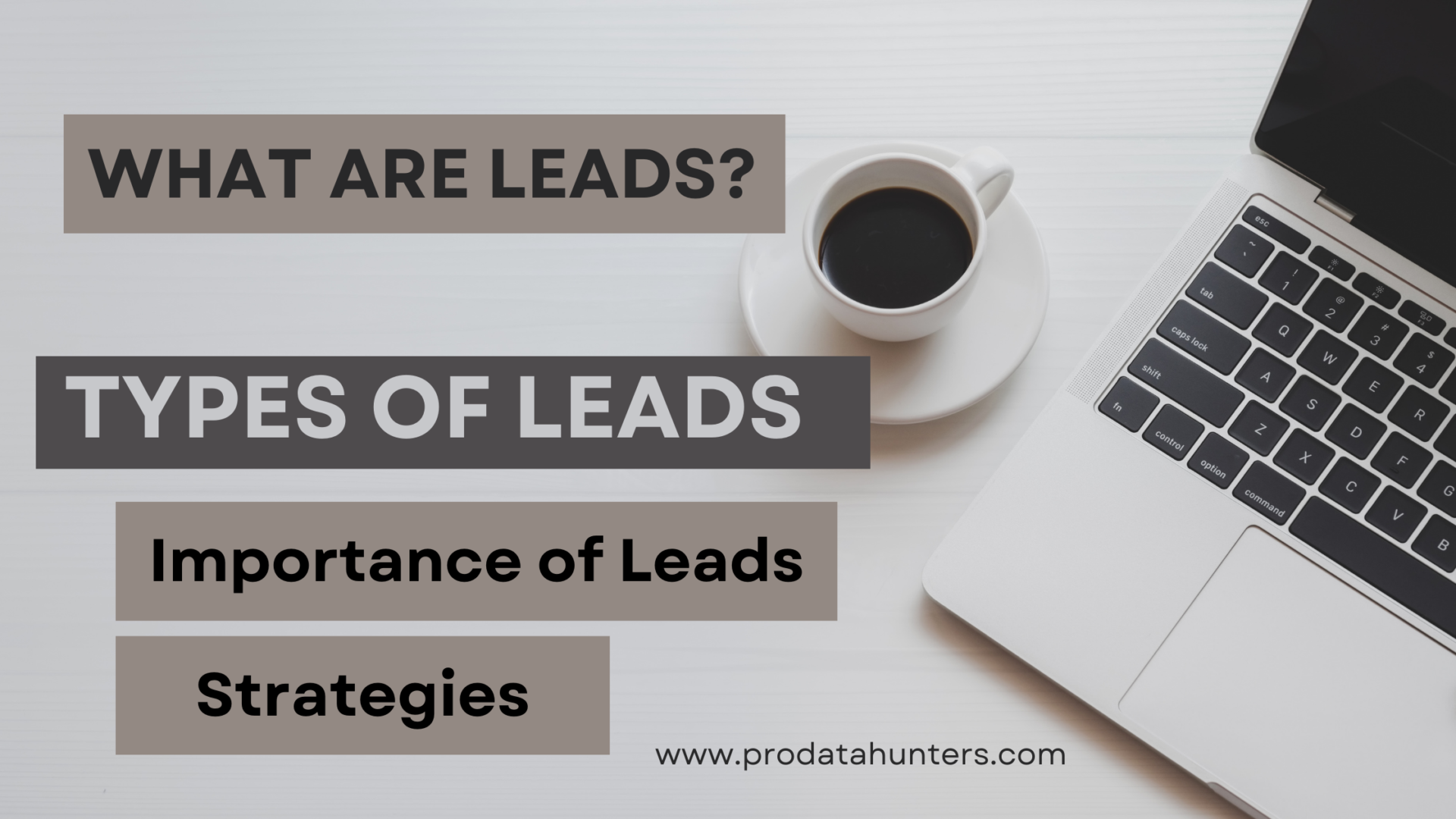 WHAT ARE LEADS?